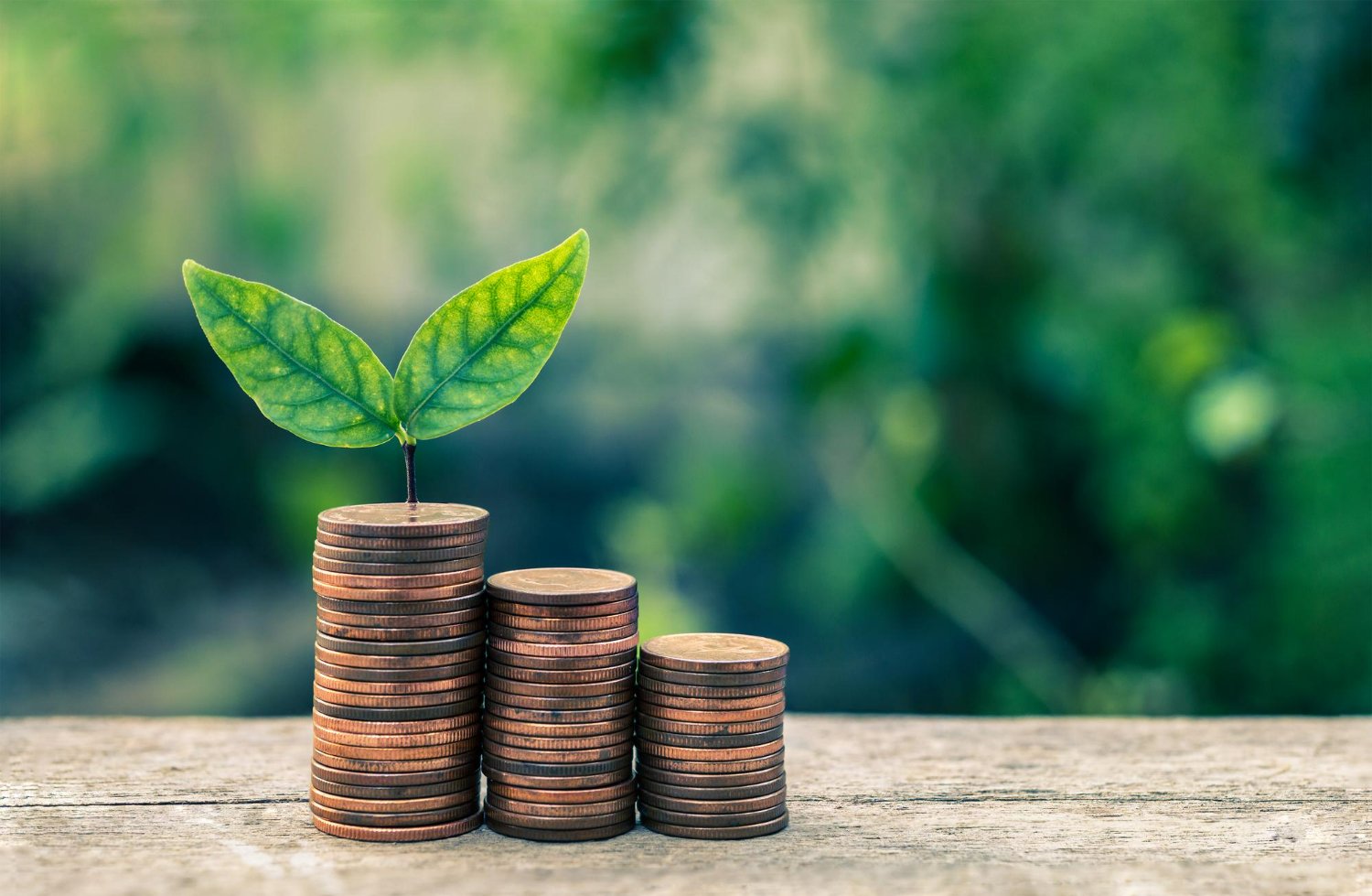 Business Growth & Finance